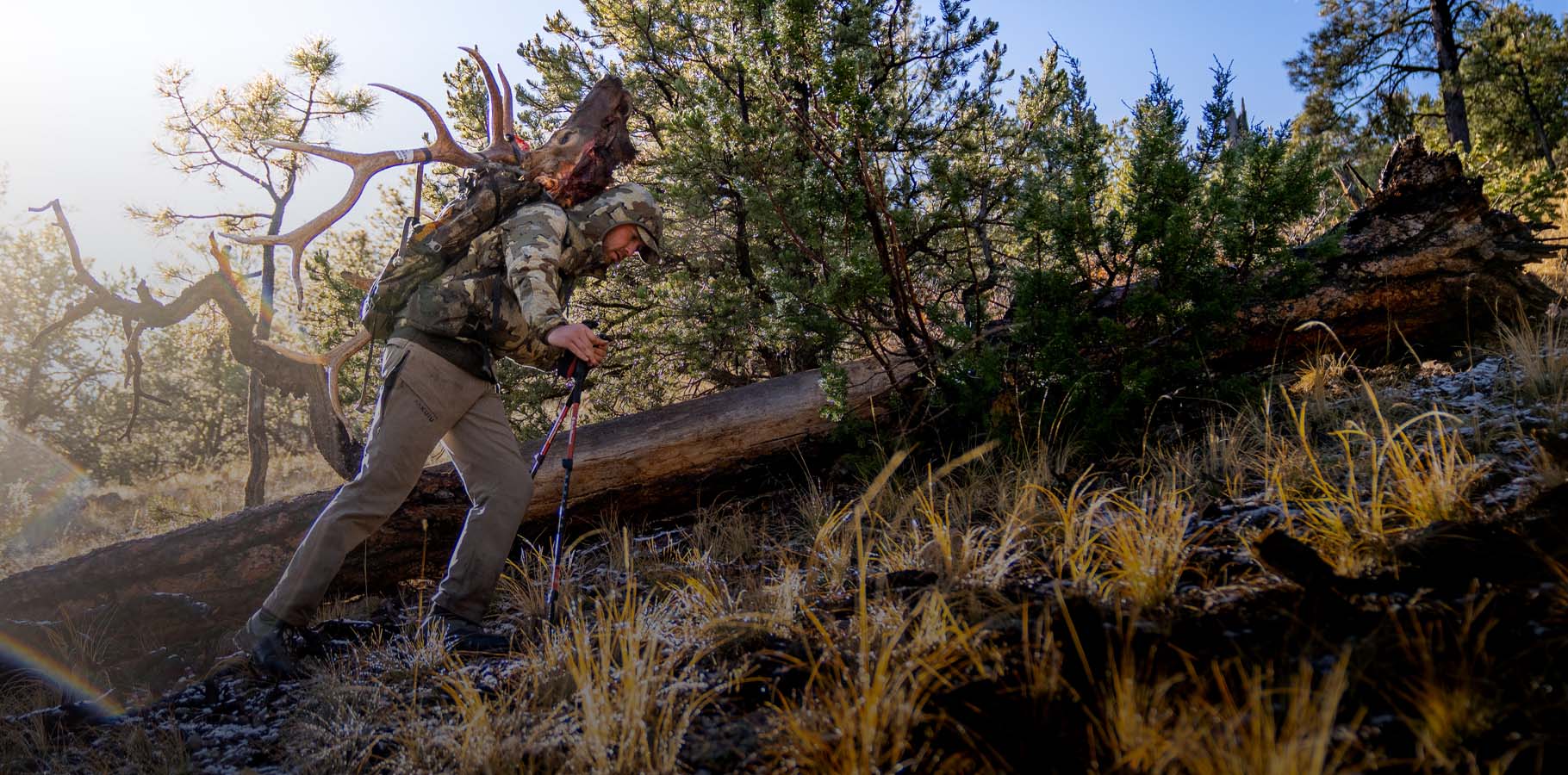 Side of Hunter Packing Out Bull Elk on Pro Pack in Valo Camouflage