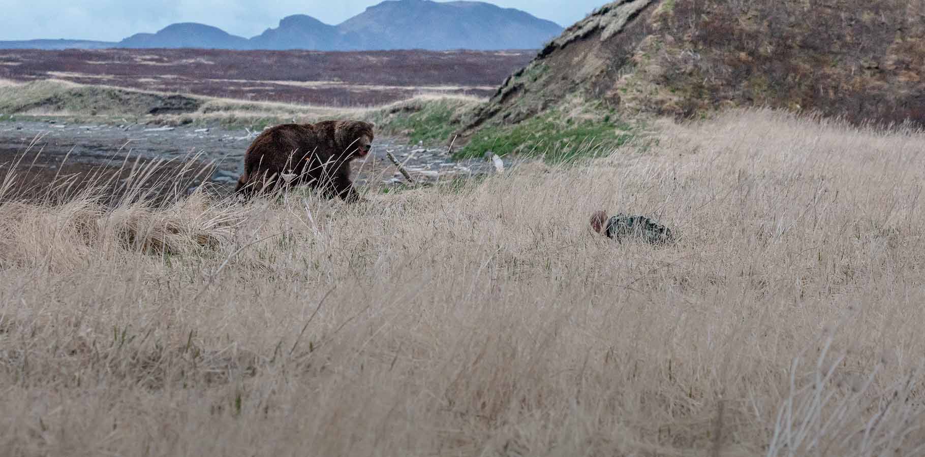 Brendan Burns Kneeling in Tall Grass with Giant Brown Bear in Background