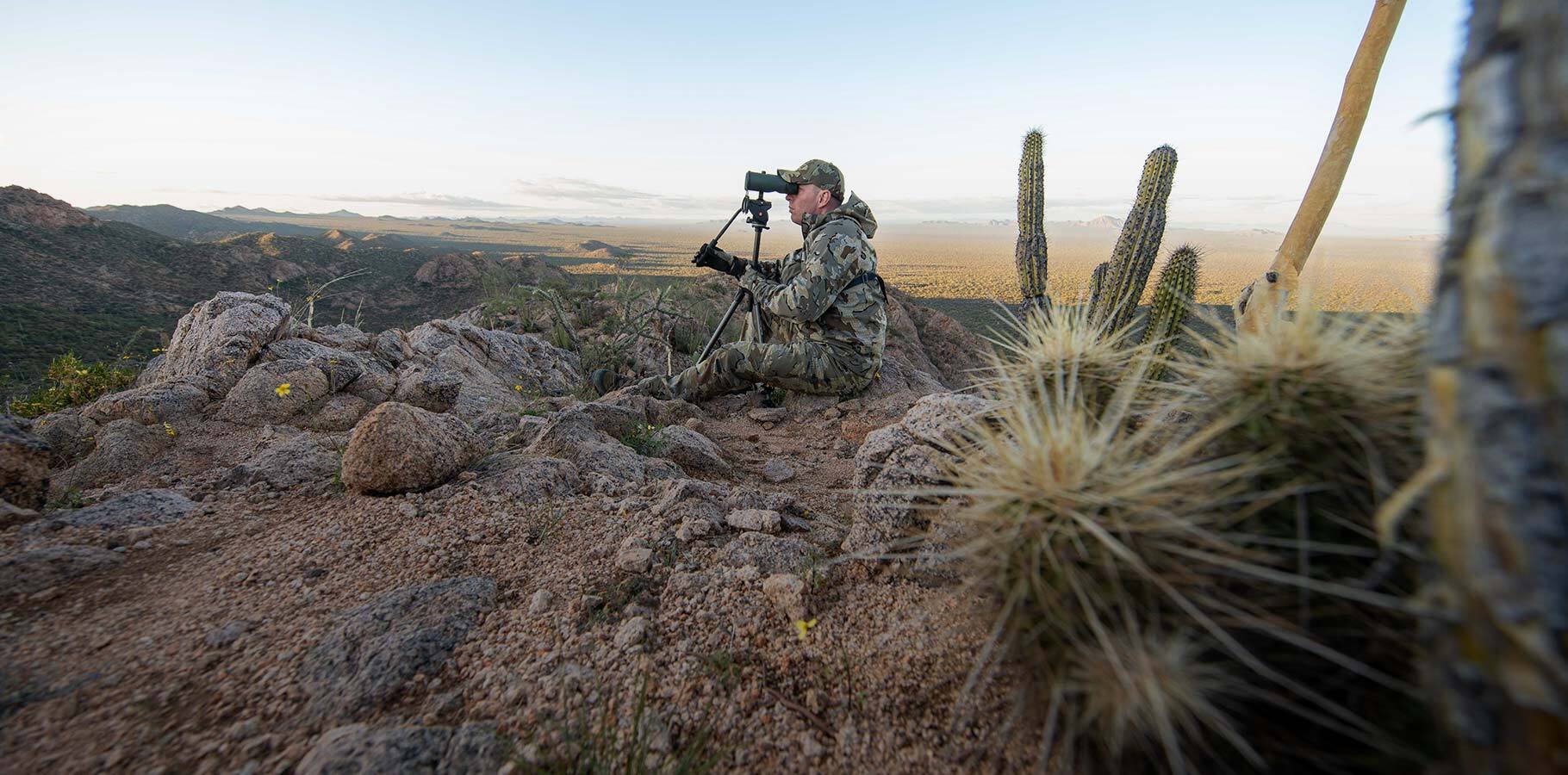 Justin Shaffer in Valo Camouflage glassing desert bighorn sheep in Mexico while seated next to cactus