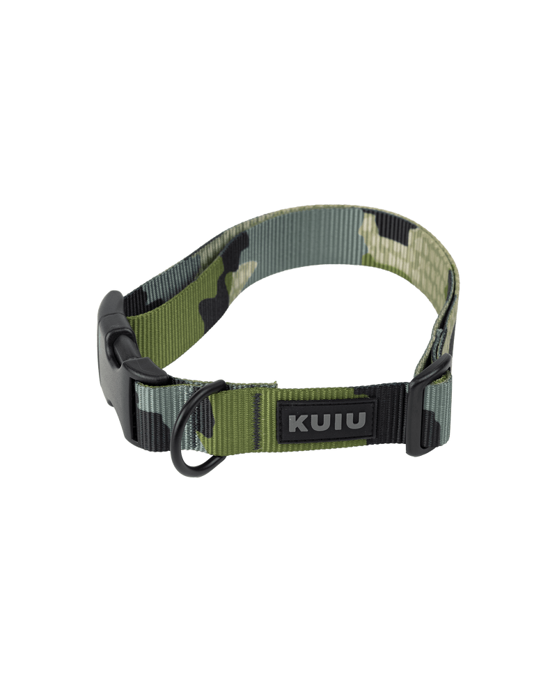 Camo Webbing Dog Collar in Verde Camouflage