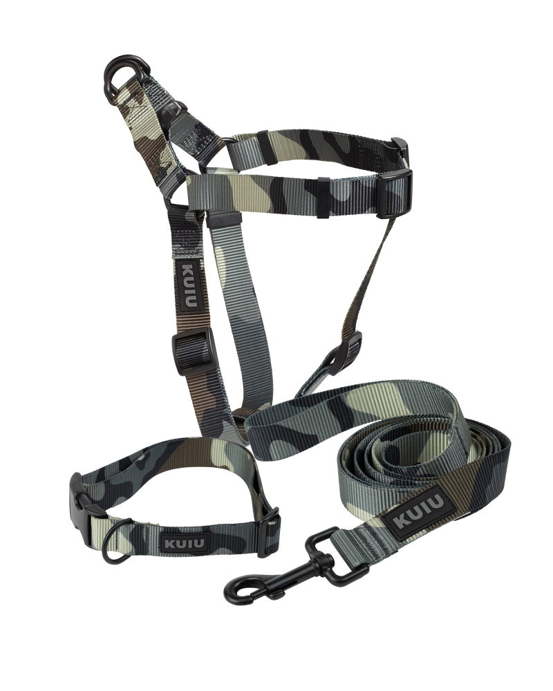 Happy Dog Gift Set in Vias Camouflage includes Camo Webbing Dog Collar, Camo Webbing Dog Leash and Camo Webbing Dog Harness 